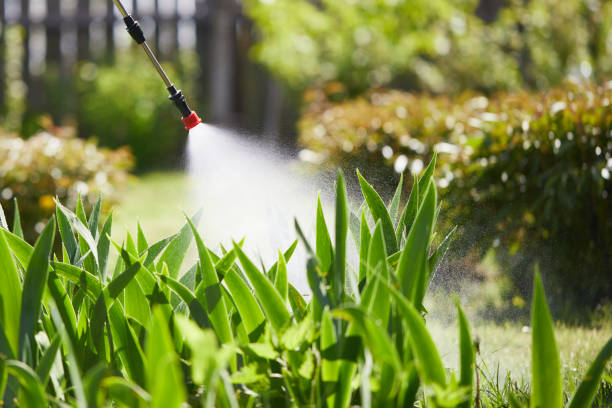 24/7 Emergency Mosquito Control experts in Helena Valley West Central, MT
