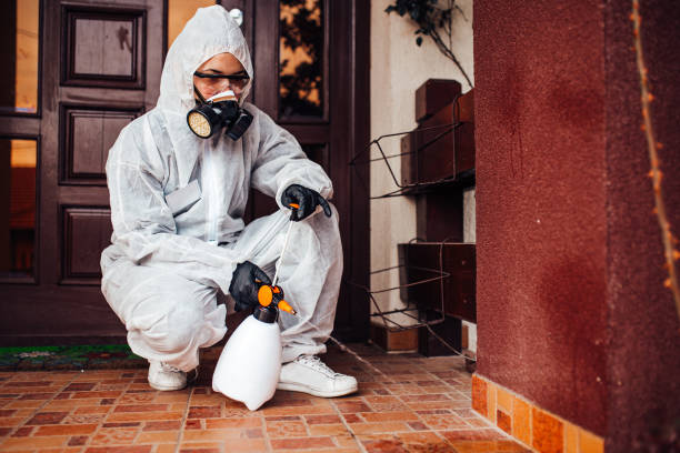 Reliable Mosquito Control contractor in Helena Valley West Central, MT by Nex Pest Control