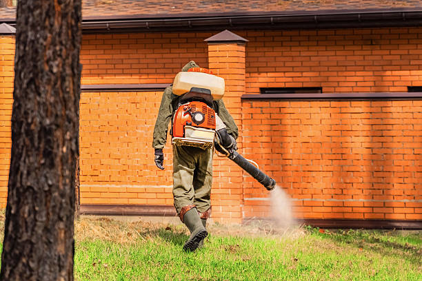 Trusted Emergency Pest Control service in Helena Valley West Central, MT - Nex Pest Control
